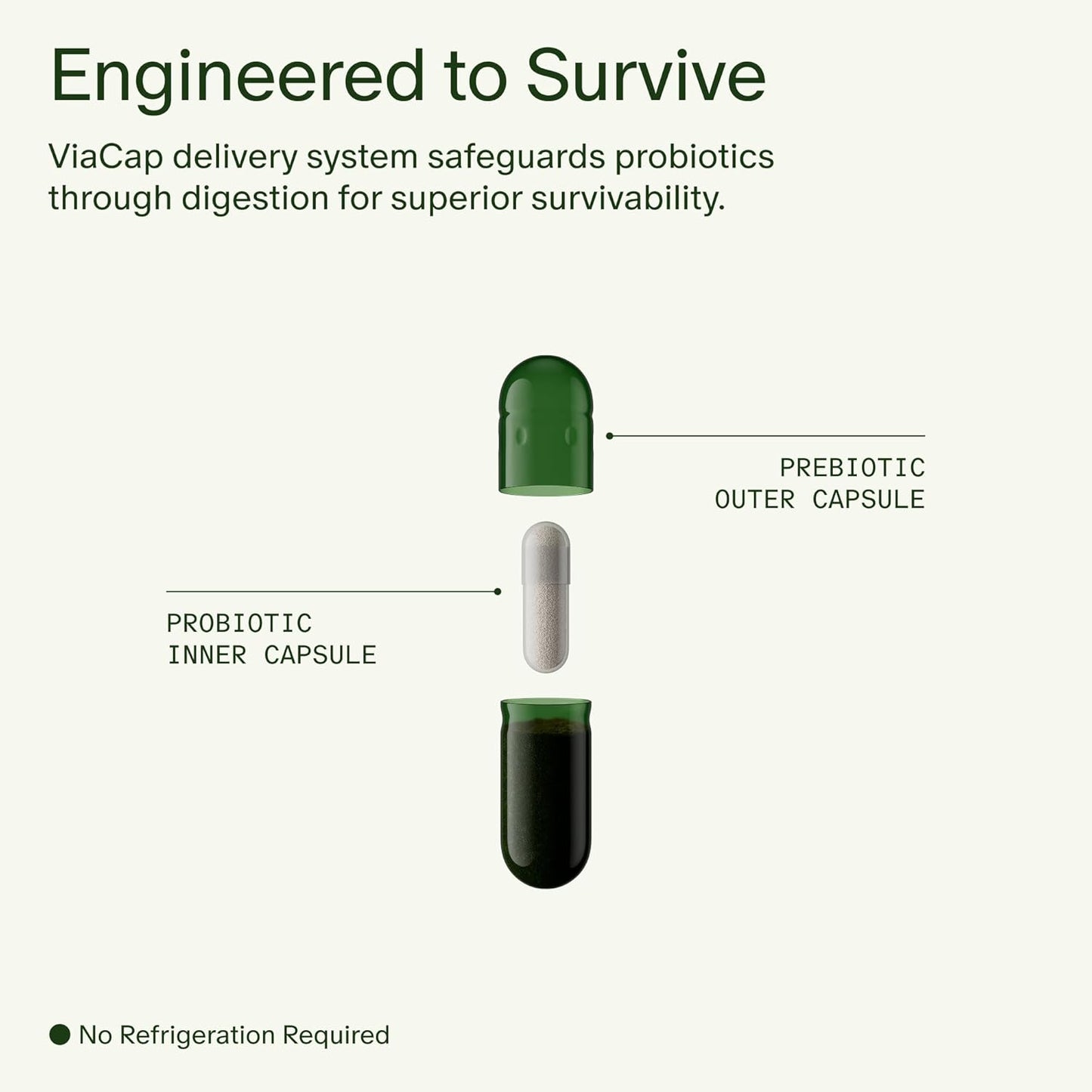 Seed DS-01 Daily Synbiotic - Adult Probiotic + Prebiotic